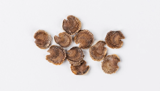 Семена Шток-роза "Смесь окрасок"_СО Семена Шток-роза "Смесь окрасок"_СО