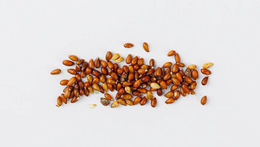 Семена Анютины глазки "Викторианская смесь"_СО