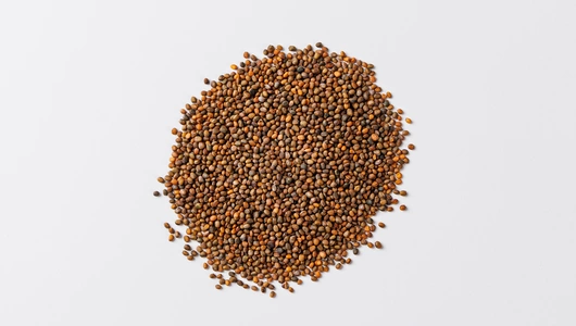 Семена "микрозелени Руколы"