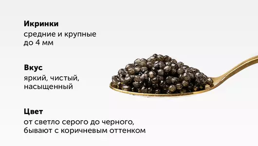 Икра осетровая зернистая ст/б охл., 50 г Икра осетровая зернистая ст/б охл., 50 г