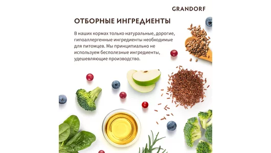Корм сухой Grandorf Ягненок с индейкой для собак мини-пород 3 кг Корм сухой Grandorf Ягненок с индейкой для собак мини-пород 3 кг