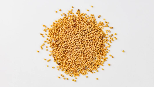 Семена Микрозелени "Горчица" Семена Микрозелени "Горчица"