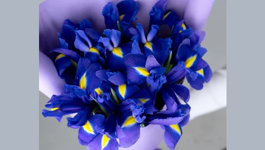 Букет цветов Натура