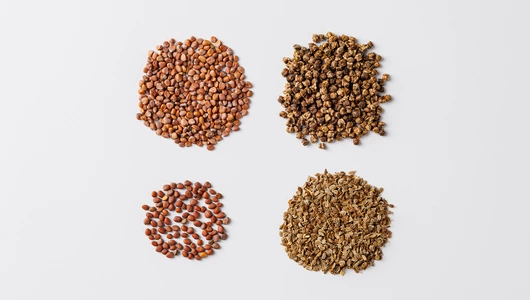 Набор семян овощей "Полезные корнеплоды"