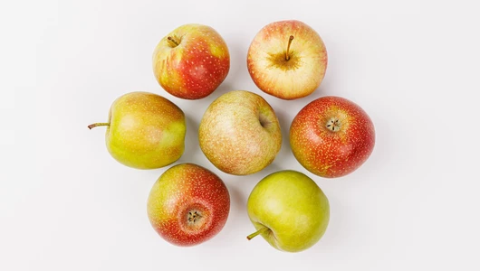 Яблоко Мичуринское