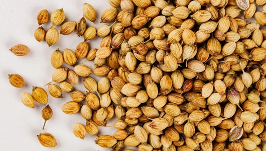 Кориандр целый Золото Индии