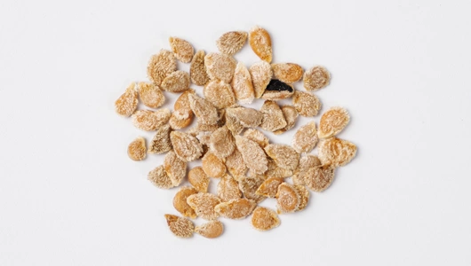 Семена Томат "Бычье сердце"