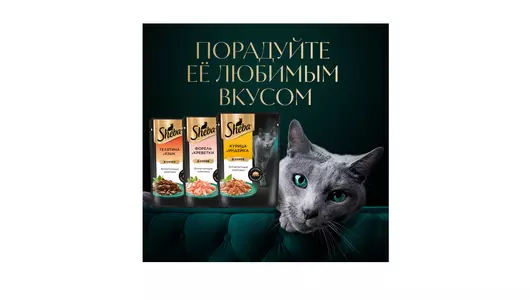 Корм влажный для взрослых кошек Sheba курица и индейка в соусе 75 г Корм влажный для взрослых кошек Sheba курица и индейка в соусе 75 г