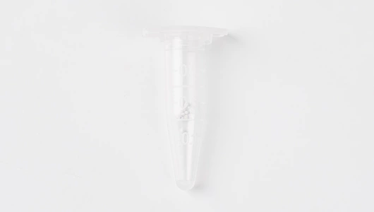 Семена Петуния мультифлора "Гало Эприкот"