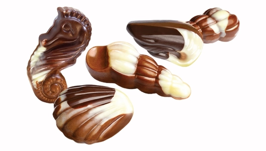 Конфеты шоколадные Belgica Seashells с начинкой пралине 190 г