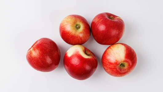 Яблоко Анис Бархатный Яблоко Анис Бархатный