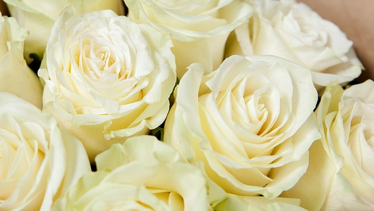 Монобукет 11 Роз Mondial в&nbsp;крафте