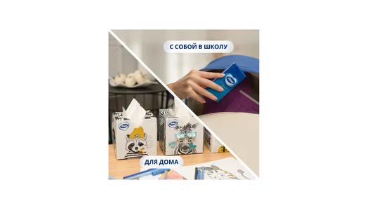 Бумажные платочки носовые Zewa Deluxe 3-слойные уп/10 шт Бумажные платочки носовые Zewa Deluxe 3-слойные уп/10 шт