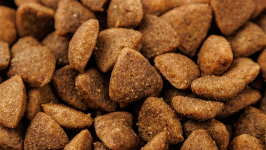 Корм сухой для стерилизованных кошек и кастрированных котов с курицей и голубикой для проф. МКБ