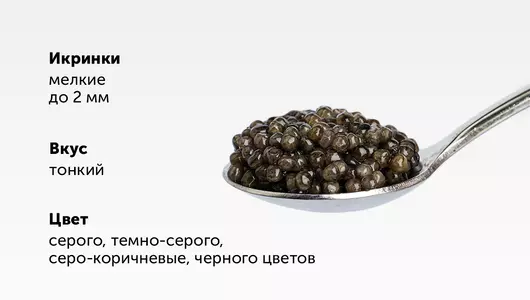 Икра осетровых рыб (стерлядь) ст/б охл., 50 г