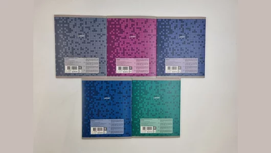 Тетрадь общая Listoff Зазеркалье А5 48 листов в клетку на скрепке