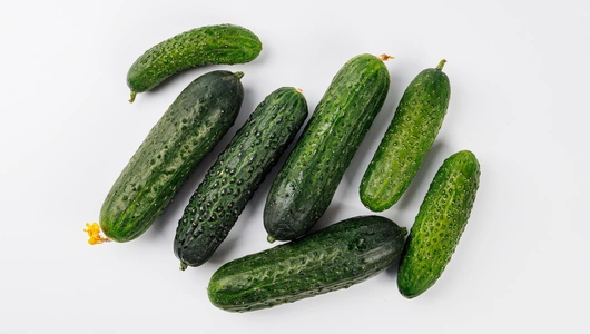 Огурцы короткоплодные