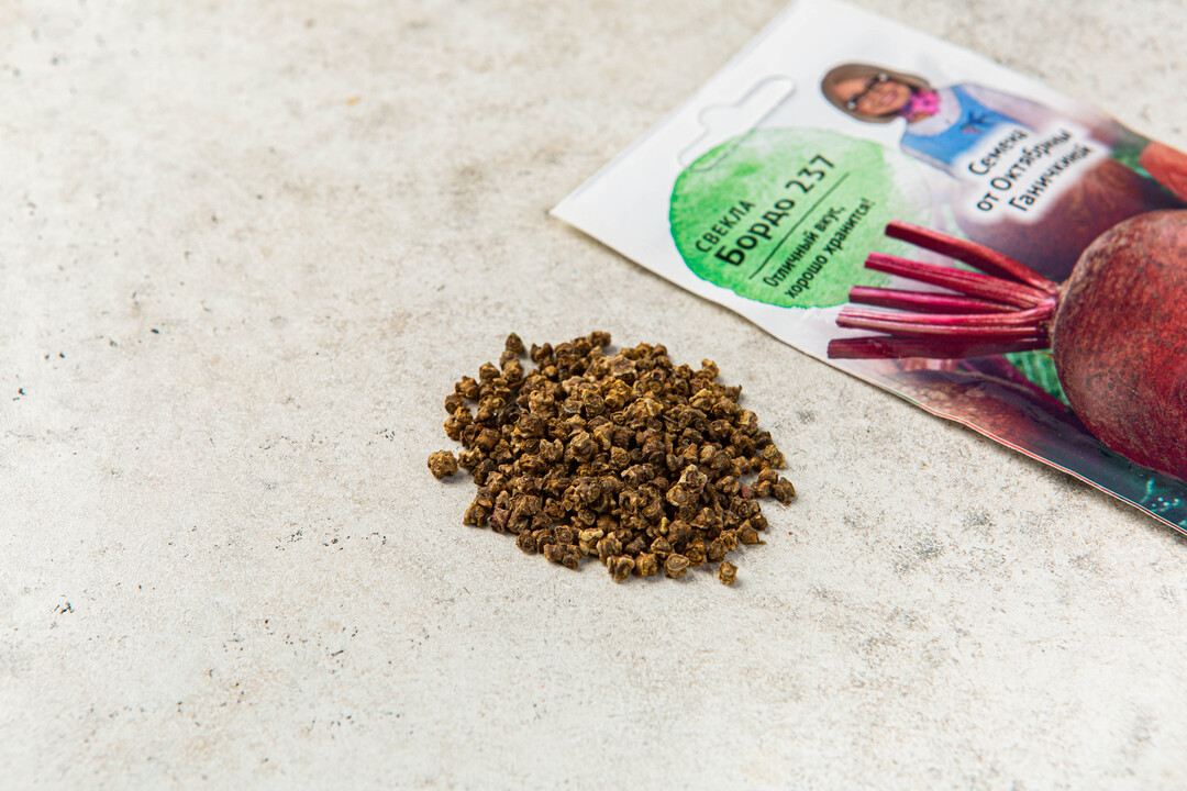 Семена «Свекла Бордо 237» 3 г с бесплатной доставкой на дом из «ВкусВилл»