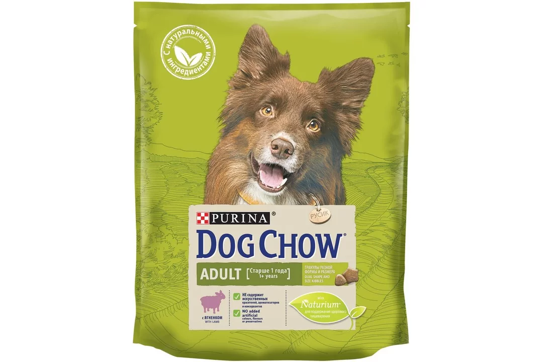 Сухой корм dog. Корм для щенков Dog Chow ягненок 800г. Корм Purina Dog Chow с ягненком для собак. Корм для щенков Dog Chow ягненок 14 кг. Пурина дог чау для собак.