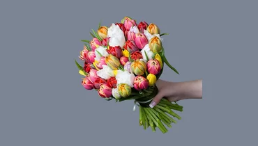 Изображение товара Монобукет из 35 тюльпанов микс с лентой 1 м — яркий и свежий подарок