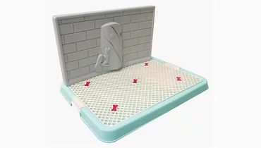 Изображение товара Туалет для собак со стенкой 67x52x29 см большой зеленый Zooone