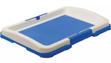 Изображение товара Туалет для собак японский стиль 63*49 см синий Zooone