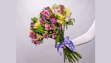 Изображение товара Букет из альстромерий микс под ленту 25 шт - Цветовик