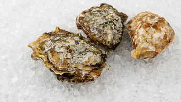 Изображение товара Живые тихоокеанские устрицы ВкусВилл 100 г свежие морепродукты