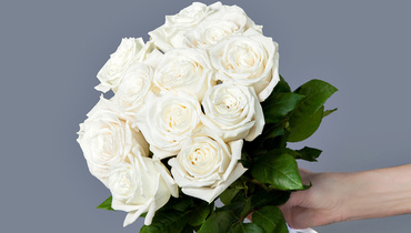 Изображение товара Монобукет из 11 пионовидных эквадорских роз Playa Blanka под ленту