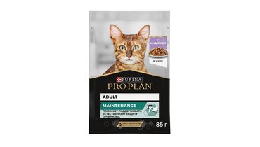 Изображение товара Корм PRO PLAN® паучи для взрослых кошек, с индейкой в желе, MAINTENANCE